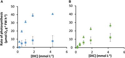 The differential ability of two species of seagrass to use carbon dioxide and bicarbonate and their modelled response to rising concentrations of inorganic carbon